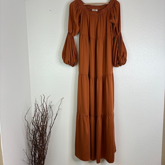DIARRABLU Sustainable Kudi Maxi Dress - Solid Rust - Picture 5 of 9